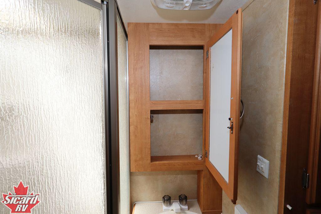2009 FOREST RIVER WILDCAT 32QBBS