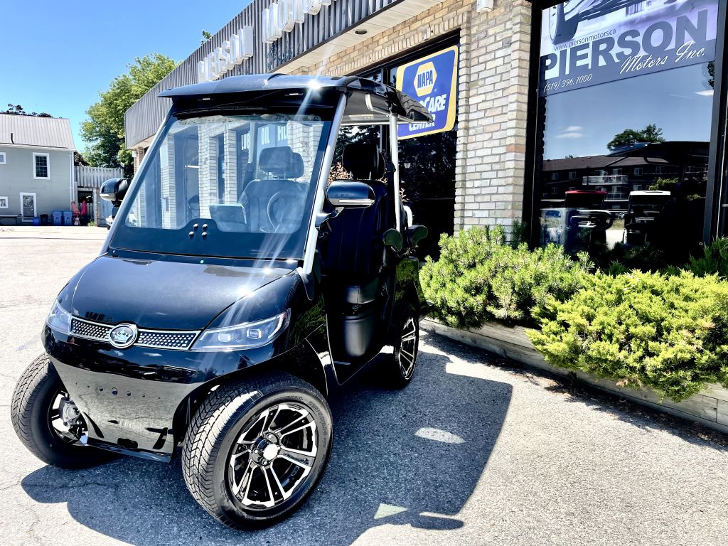 NEW 2022 HDK EVOLUTION D3 GOLF CART Ripley RVHotline RV Trader