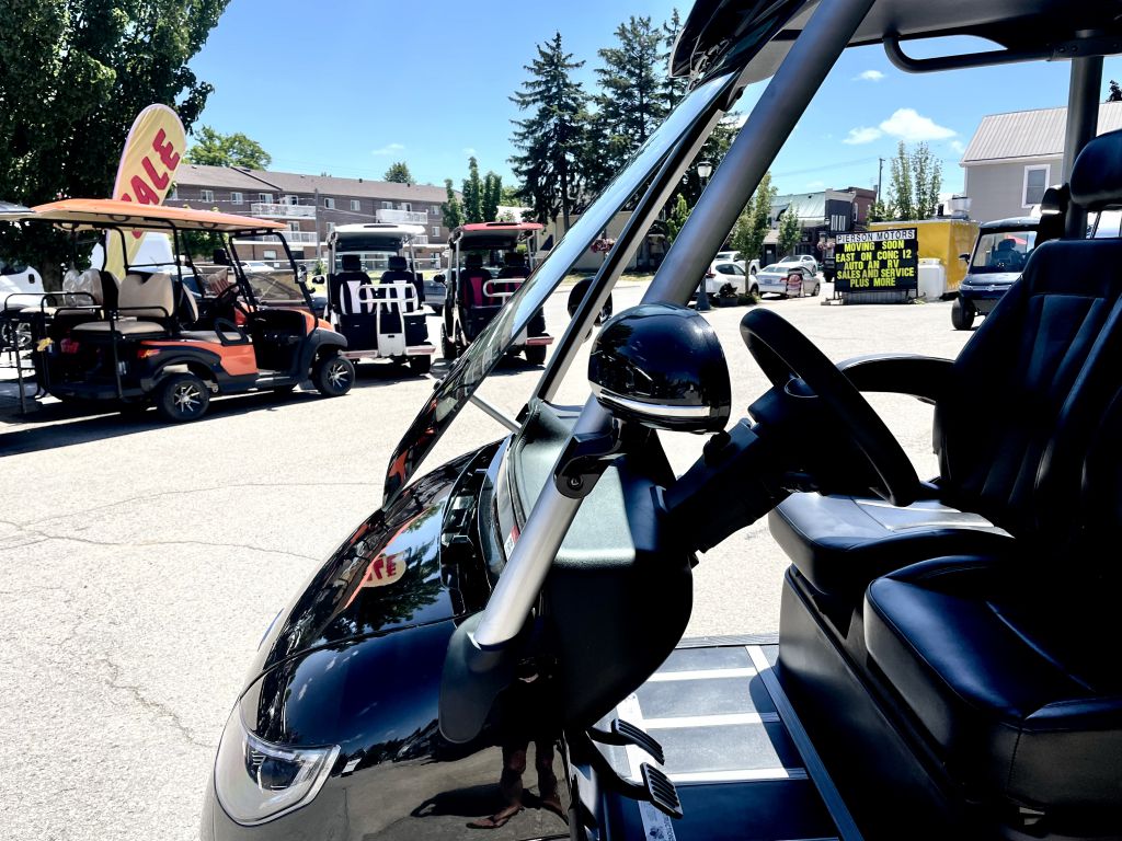 NEW 2022 HDK EVOLUTION D3 GOLF CART Ripley RVHotline RV Trader