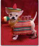 Baja Amigos RV Caravan Tours Inc.