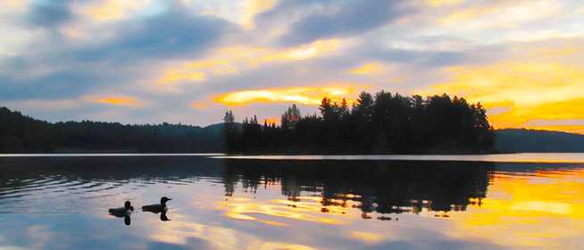 Img: http://www.ontarioparks.com/