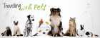 Travelling With Your Pets In An RV