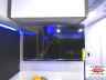2026 INTECH RV AUCTA WILLOW - Image 16 of 30